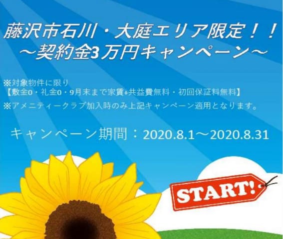 藤沢市大庭・石川でお探しのお客様必見